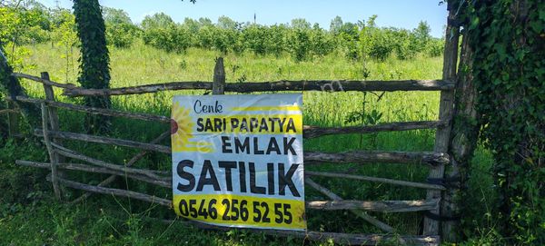 Samsun Terme Suayp Köyü Anayoluna Cephe Satilik Fındık Bahcesı