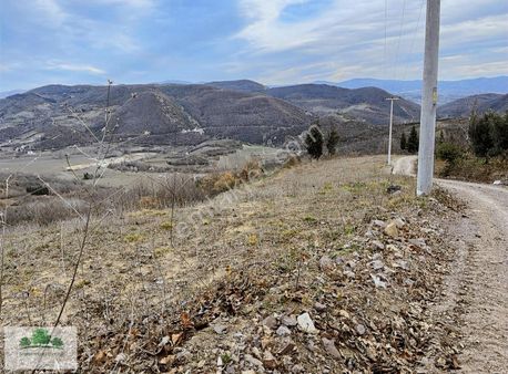 Geyikdere'de Yola Cepheli 4400 M2 Satılık Tarla