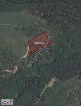 Kocaeli Kandıra Teksen'de Satılık Müstakil Parsel