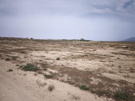 Cm Emlak Tan.sazlıca Aşağı Mahalle Kaş Mevki 680 M2 Arsa