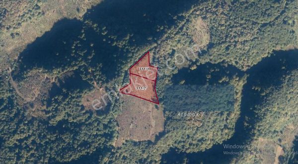 Erenler Değirmendere De Fındıklık