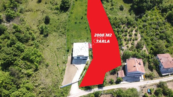 Ayancık Tarakçı Köyü Satılık 2000 M² Tarla