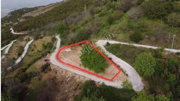 Tire Şahin Gayrimenkulden Çukurköy De Satılık Arsa