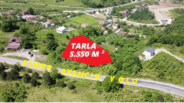 Ayancık Tarakçı Köyü Satılık 5550 M² Tarla