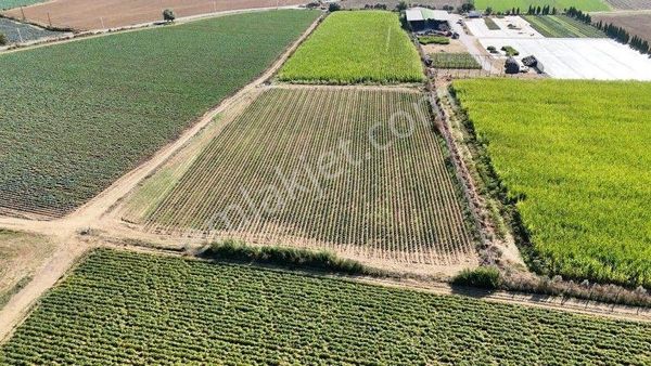 Torbalı Kırbaş Mahallesinde 5400 M2 Satılık Tarla