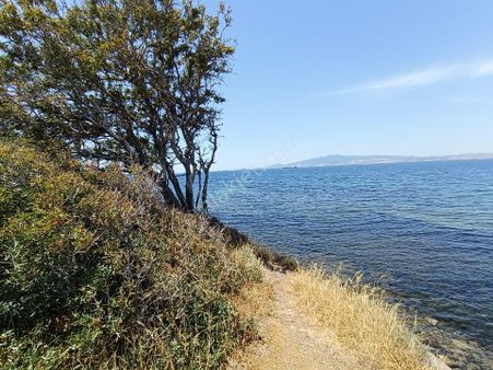 Gözde Life Denize Sifir 5.5 Dnm 150 Metre Cephesi Harika Konumda Arazi