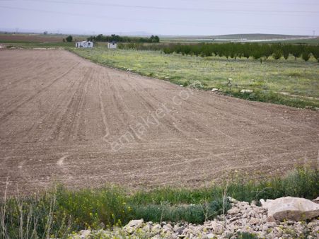 Çamardı Yolu Kiçağaç Köyü 39.167 M2 Satılık Evli Tarla , Cm Emlaktan