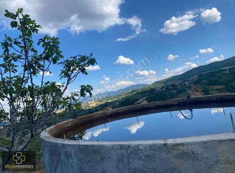 Küçük Menderes'ten Kiraz Doğancılar Mh. Bakımlı İncir Bahçesi