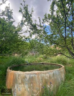 Küçük Menderes'ten Kiraz Doğancılar Mh. Bakımlı Kiraz Bahçesi