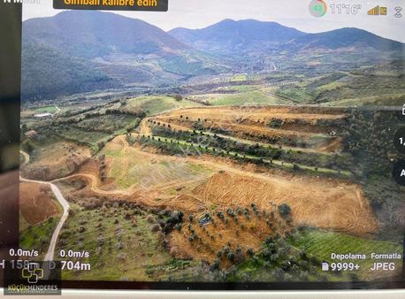 Küçük Menderes'ten Kiraz Gedik Mh. Satılık İncir, Zeytin Bahçesi