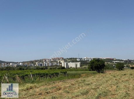 Yağcılar Da 3.625 M2 Tarla, Asfalta 125 Mt , Kampüse 500mt