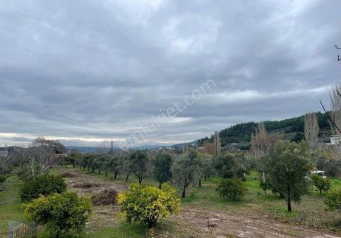 Marmara Emlak'tan Kavaklı Dere De 248m2 Hiseli Arsa