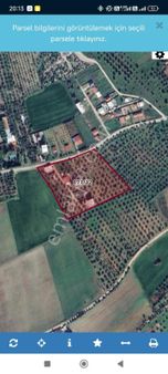 Buca Karacaağaç Köy Dibi 5600 Mk Miras Hisse Sorunsuz