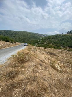 Çamlıyayla Giden Yaylasında Satılıktır Yerimiz