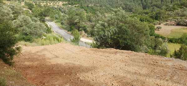 Milas Ören Cenneti Yakınlarındaki Dağpınar Köyünde Satılık Arazi
