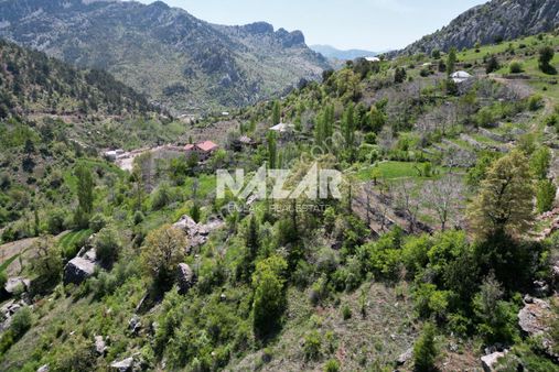 Alanya Şıhlar Köyü, Çayarası Yaylası’nda 1.074 M² Satılık Tarla