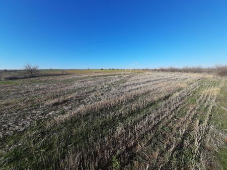 Edirne Merkez Musabeyli Köyünde Satılık Bağ Bahçe Tarla