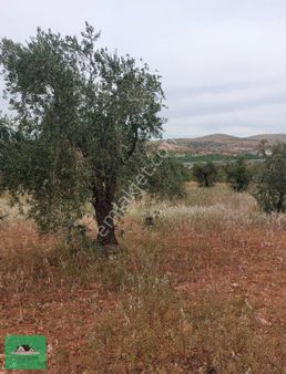 Sekilide 2.org. San. Bölgesinin Karşısında Yatırımlık Arazi.