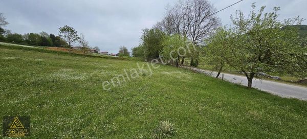 Acaradan İznik Candarlı'da Sizmari Yakınında 2.642m² İmarlı Arsa