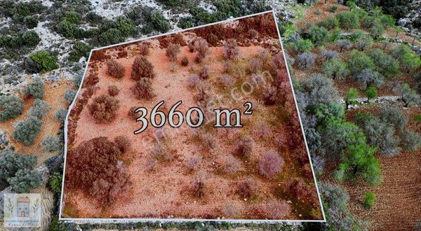 Marin'den Cumalı'da 3660 M² Tarla