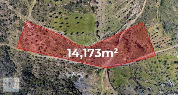 Marin'den Yazı'da Yatırımlık Tarla