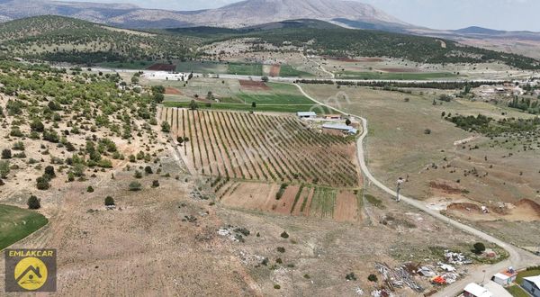 Emlakcar Dan Çayırbağında 53.396m² Elma Bahçesi+çardak+ev+atölye