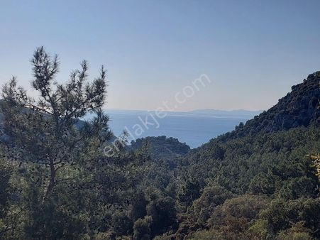 Ortaca Gökbelde Müstakil Tapulu Deniz Manzaralı 5.216 M2, 2b Arazi Satılık