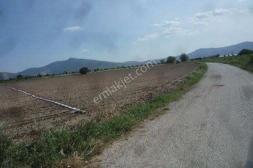 İzmir Torbalı Gold Emlaktan Satılık Verimli Tarla