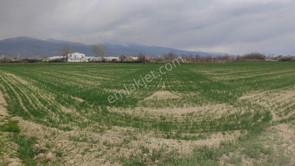 Abit Gm Alanyurtda 9.000 M2 Satılık Yolu Olan Tarla