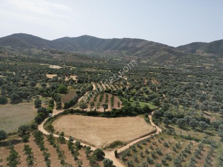 Antika Gayrimenkul'den Ödemiş Kutlubeylerde Satılık Tarla