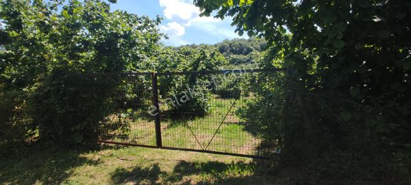 Erenler Değirmendere De Yol Kenarı Yatırımlık Fındıklık