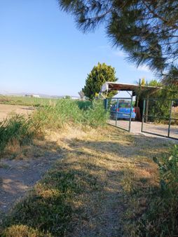 İzmir Menemen Seyrek De Satılık Çiftlik Ev Ve Tarla