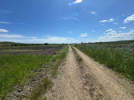 Silivri Seymen'de Kadastro Yolu Mevcut Yeri Belli Arazi