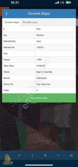 Acarda Süper Konumda Yatırımlık Tonluk Zeytin