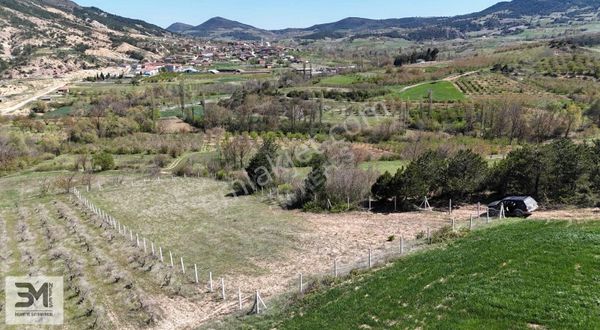 Geyve Akdoğan 2032 M2 Resmiyola Cephe Köye 500 Metre Bağ Nitelik