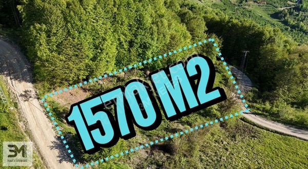 Geyve 1570 M2 Asfalta Cephe Panoramik Manzaralı Elektrik Ve Su