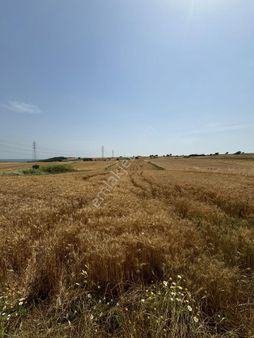 Silivri Büyükkılıçlı'da Kadastro Yola Cephe Tek Tapu Arazi