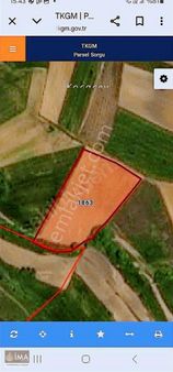 Edirne Havsa Azatlı Hisseli Tarla 1.400m2