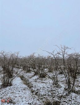 Resold'dan Sahilköyde Kaçırılmayacak Fırsat.