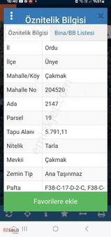 Global Resold'an Satılık Fındık Bahçesi.