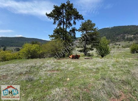 Dhn Emlak'tan B.kesir Sındırgı Kepezde Kadastal Yola Cephe Tarla
