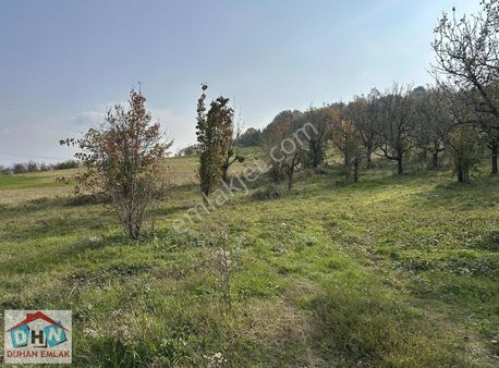 Duhan Emlak Tan Sapanca Akçayda Yatırımlık Arazi