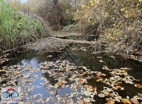 Duhan Emlak Tan Körfez Sipahilerde Dereye Cephe Arsa