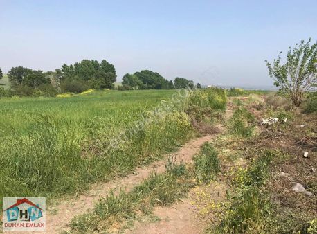 Çanakkale Biga Balıklıçeşme Köyünde Satılık 3100 M2 Tarla