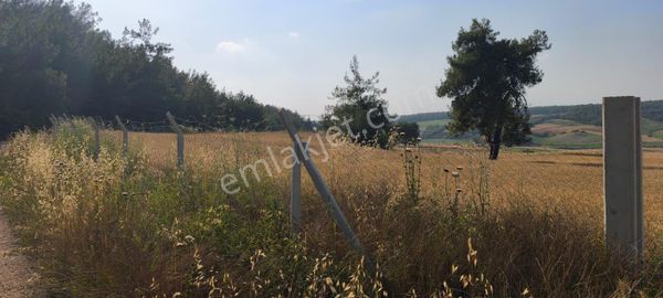 Adana Sariçam Kılıçlı Da 27300 M2 Satilik Hisse