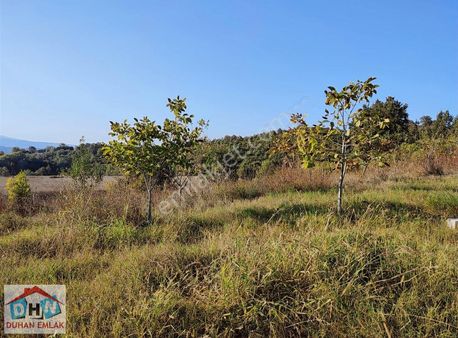 Duhan Emlak'tan Safran'da 1406 M2 Kadastro Yolu Açık Tarla