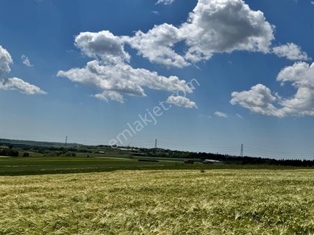 Silivri Seymen Satılık 19.360 M2 Tarla 2 Hisseden Oluşmakta