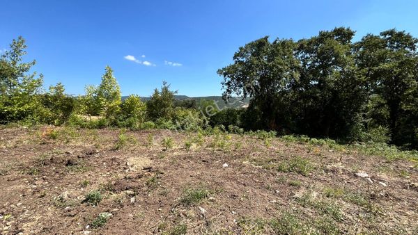 3.175 M2 Resmi Yolu Olan Gönen'e Yakın Arazi