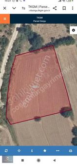 Mudanya Evcilerde Mükemmel Konumda Tarla