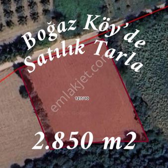Altınbaş Emlak'tan Boğaz Köy'de Satılık Verimli Tarla